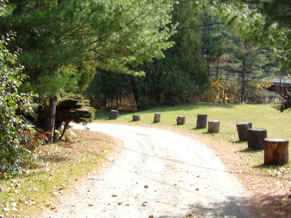 Pine Crest Motel & Cabins Barton Zewnętrze zdjęcie